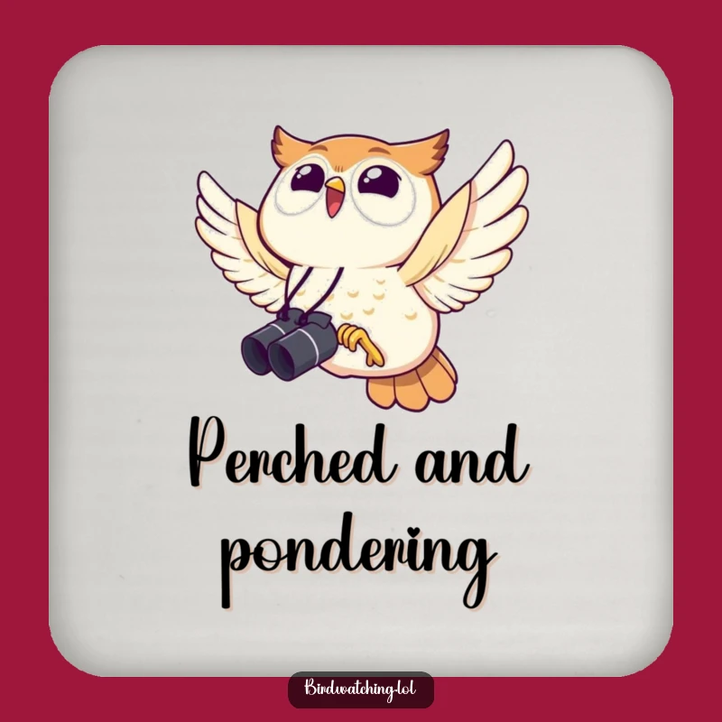 Funny Owl Coaster: Joyful Binocular Bird Watching Protection Gift